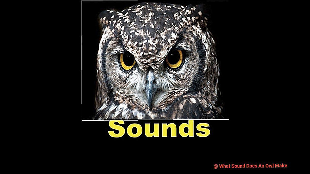 what-sound-does-an-owl-make-lightning-pest-control