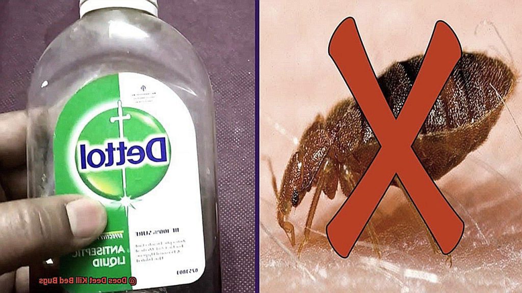 does-deet-kill-bed-bugs-lightning-pest-control