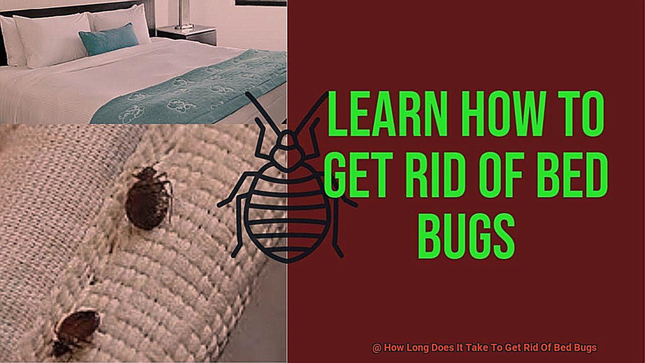 how-long-does-it-take-to-get-rid-of-bed-bugs-lightning-pest-control